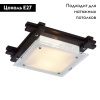 Светильник накладной Arte Lamp Archimede (Арцхимеде) A6462PL-2CK