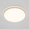 Светильник потолочный Citilux Norma (Норма) CL748320