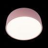Светильник потолочный Loft It Axel 10201/350 Pink