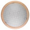 Светильник накладной Toplight Christina (Цхристина) TL9520Y-00PN