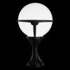 Уличный светильник Arte Lamp Monaco (Монацо) A1494FN-1BK