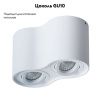 Светильник потолочный Arte Lamp Falcon (Фалцон) A5645PL-2WH