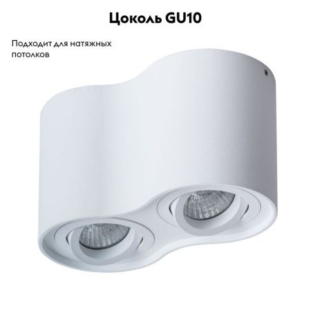 Светильник потолочный Arte Lamp Falcon (Фалцон) A5645PL-2WH