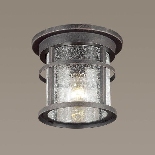 Уличный потолочный светильник Odeon Light Virta (Вирта) 4044/1C - фото 2