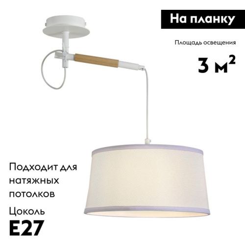 Настенно-потолочный светильник F-Promo Eureka (Еурека) 3005-1P - фото 2