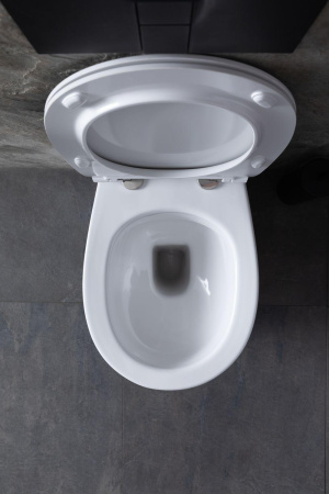 Унитаз приставной Allen Brau Fantasy 4.11007.20 белый с сиденьем микролифт безободковый каскадный смыв