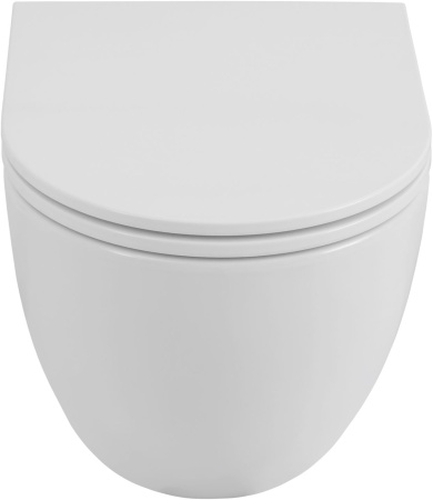 Чаша унитаза подвесная Allen Brau Priority Tornado 4.31009.20 цвет белый без сиденья безободковая душевой смыв