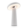 Настольная лампа Freya Mushroom (Гриб) FR6109TL-L4W