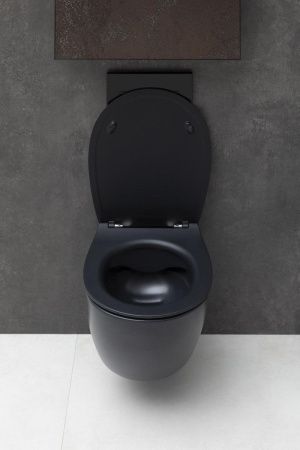 Чаша унитаза подвесная Allen Brau Fantasy 4.11004.31 цвет черный без сиденья безободковая каскадный смыв