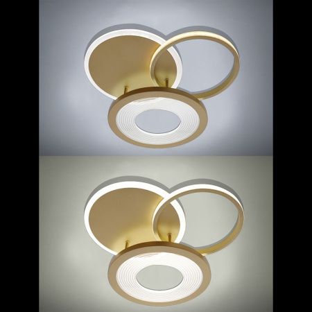 Люстра потолочная Natali Kovaltseva LED LAMPS (ЛЕД ЛАМПС) LED LAMPS 81300