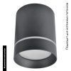 Светильник накладной Arte Lamp Elle (Елле) A1949PL-1BK