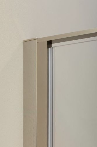 Душевая дверь Allen Brau Priority 3.31005.BA 100х200 стекло прозрачное профиль серебро - фото 2