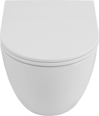 Чаша унитаза подвесная Allen Brau Priority Tornado 4.31008.20 цвет белый без сиденья безободковая душевой смыв