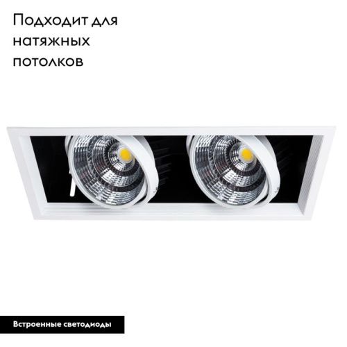 Светильник встраиваемый Arte Lamp Merga (Мерга) A8450PL-2WH - фото 2