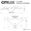Уличный настенный светильник Citilux Jonathan (Джонатхан) CLU0805BK