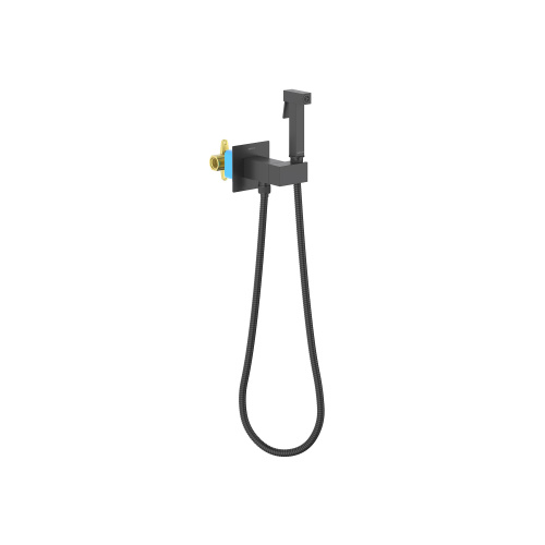 Гигиенический душ Aquatek ЛИРА AQ1025MB черный матовый
