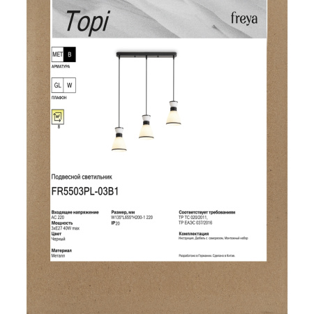 Светильник подвесной Freya Topi (Топи) FR5503PL-03B1