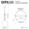 Светильник подвесной Citilux Fernet (Фернет) CL254410