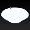 Настенно-потолочный светильник Toplight Clare (Цларе) TL9101Y-02TR