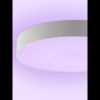 Светильник потолочный Natali Kovaltseva Modern (Модерн) LED LAMPS 81105/2C