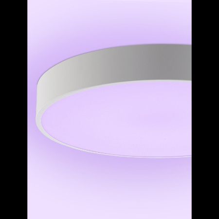 Светильник потолочный Natali Kovaltseva Modern (Модерн) LED LAMPS 81105/2C