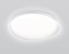 Светильник потолочный Ambrella Light Dance (Данце) FZ1610
