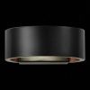 Светильник настенный ST Luce SL591 SL591.401.01
