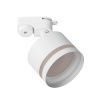 Трековый светильник Citilux Hardy (Харды) CL002T10
