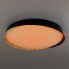 Светильник потолочный музыкальный Citilux Bonny (Бонны) CL754451G