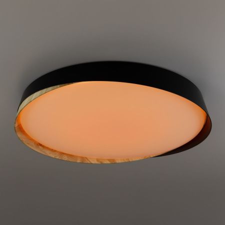 Светильник потолочный музыкальный Citilux Bonny (Бонны) CL754451G
