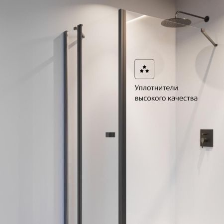 Душевая дверь Roca CAPITAL 7.M461.0.016.M 100х195 стекло прозрачное профиль черный