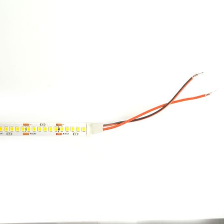 Светодиодная лента Feron LS503 48829
