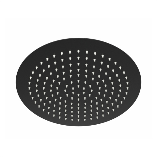 Верхний душ WasserKRAFT Abens 2000 A160 черный - фото 2