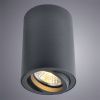 Светильник потолочный Arte Lamp Sentry (Сентры) A1560PL-1BK