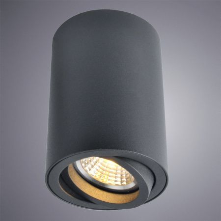 Светильник потолочный Arte Lamp Sentry (Сентры) A1560PL-1BK