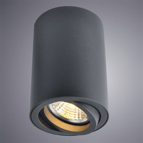 Светильник потолочный Arte Lamp Sentry (Сентры) A1560PL-1BK - фото 3