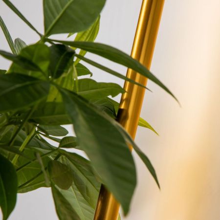 Светильник настенный Favourite Greenery (Греенеры) 4050-1W