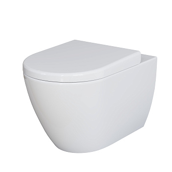 Унитаз подвесной Ambassador Queen 113T20001R-112T20001 белый глянцевый с сиденьем микролифт каскадный смыв