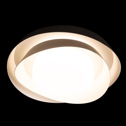 Светильник потолочный Loft It Petale 10256 Black - фото 4