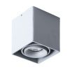 Светильник потолочный Arte Lamp Pictor (Пицтор) A5654PL-1GY