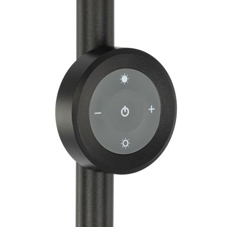Торшер Citilux Loong (Лоонг) CL810031