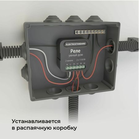 Умное двухканальное реле Elektrostandard 4690389185083