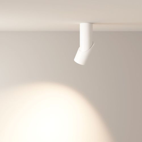 Светильник потолочный Maytoni Technical Dafne C027CL-L10W4K - фото 3