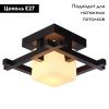 Светильник накладной Arte Lamp WOODS (ВООДС) A8252PL-1CK