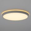Светильник потолочный Citilux Norma (Норма) CL748240