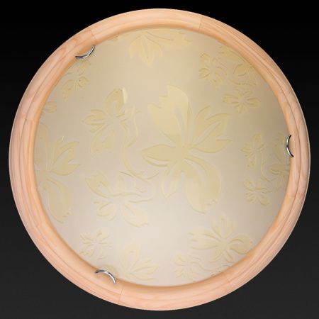 Светильник накладной Toplight Jane (Джане) TL9640Y-00PN