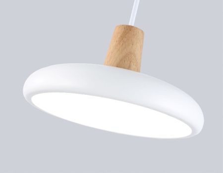 Светильник подвесной Ambrella Light LineTech (ЛинеТецх) FL4838