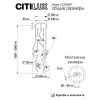 Люстра потолочная Citilux Vansa (Ванса) CL206091