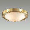 Настенно-потолочный светильник Lumion Vintage (Винтаге) 5259/3C
