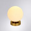 Настенно-потолочный светильник Arte Lamp Alcor (Алцор) A2224PL-1PB